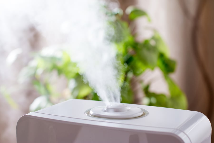 Reasons to use a humidifier in your home this winter